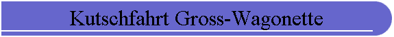 Kutschfahrt Gross-Wagonette